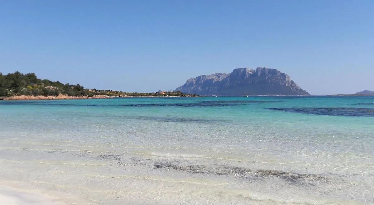 Apartment In Olbia Murta Maria Italien